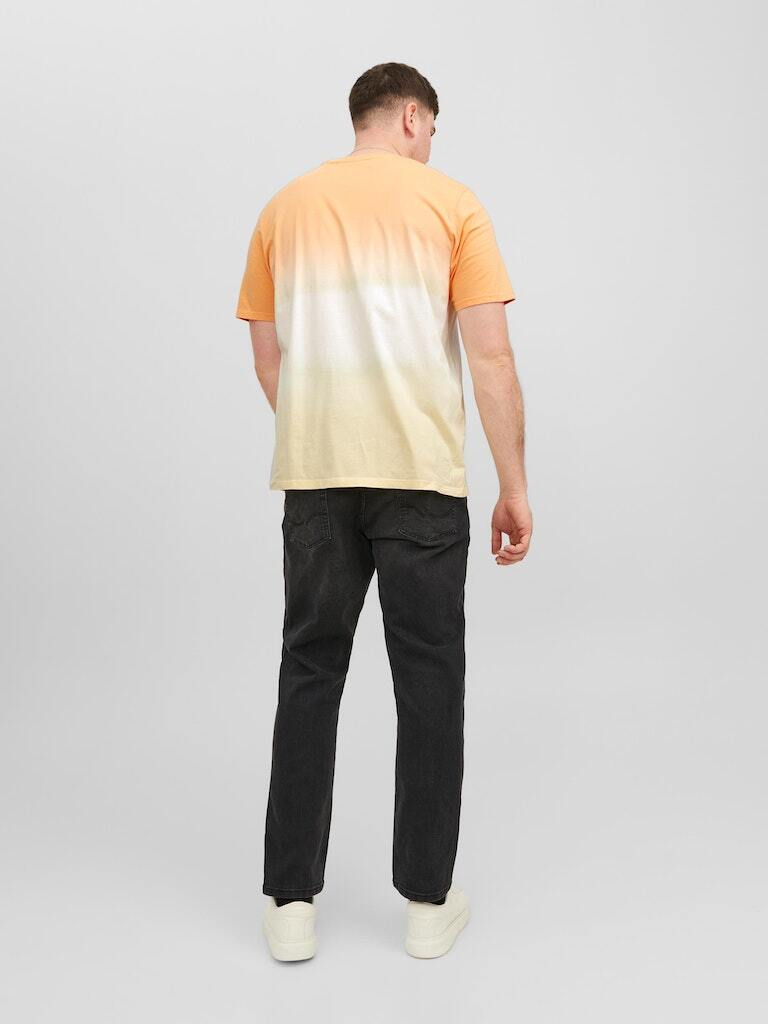 Model Ryg