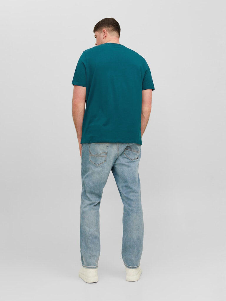Model Ryg