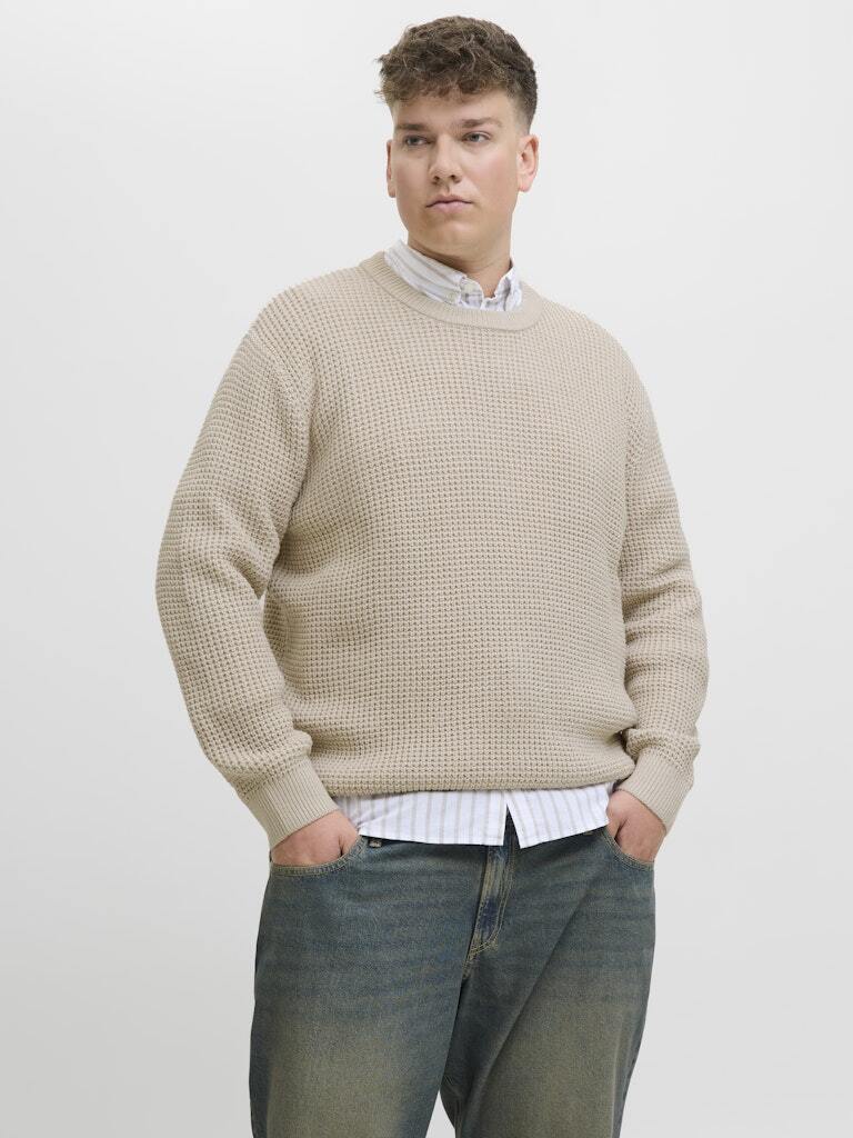 Modelfoto