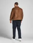 Model ryg