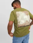 Model - Ryg
